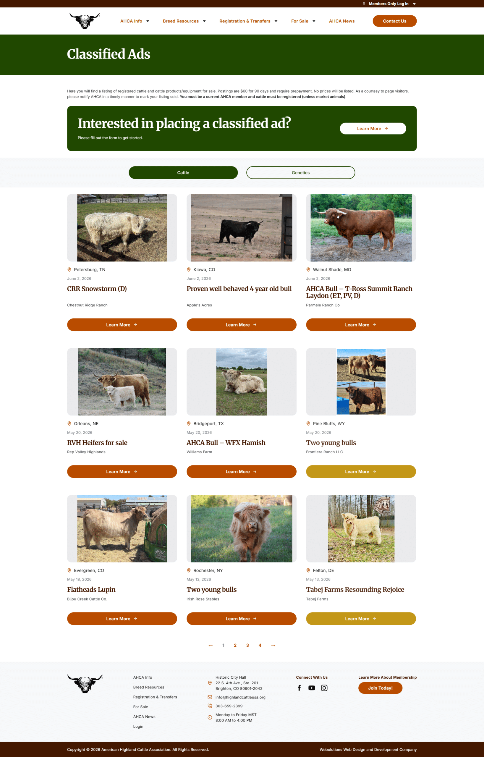 American Highland Cattle Association classified ads page showing Highland cattle for sale listings, cattle and genetics filters, breeder locations, listing cards, and member-focused for sale resources.