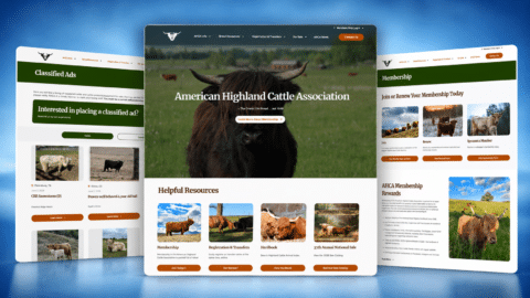 American Highland Cattle Association website redesign case study hero image showing homepage, membership page, and classified ads page mockups with Highland cattle photography and modern member-focused website design.