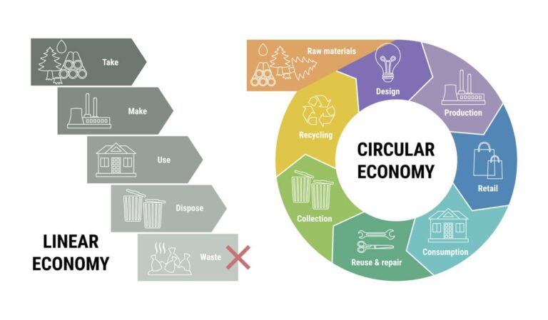linear economy vs circular economy