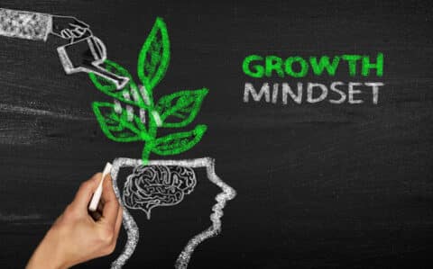 pros and cons of an aggressive business growth mindset